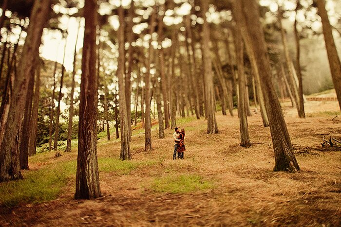 engagement photos in the trees indianwedding 019 Bhavani + Suriyan San Francisco Indian Engagement