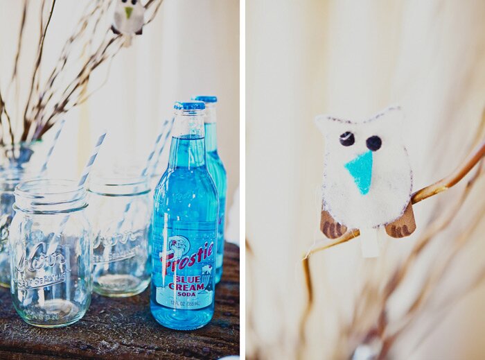 Sacramento Baby Photographer SacramentoBabyPhotographer 001 Owl Themed Baby Shower