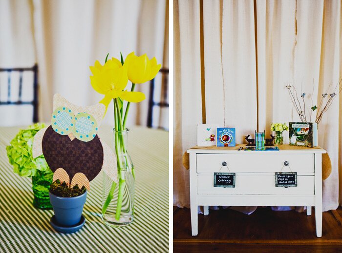 wonderful Sacramento Baby Photographer SacramentoBabyPhotographer 007 Owl Themed Baby Shower