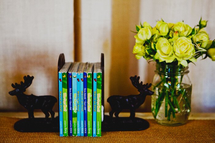 Sacramento Baby Photographer photos of details SacramentoBabyPhotographer 008 Owl Themed Baby Shower