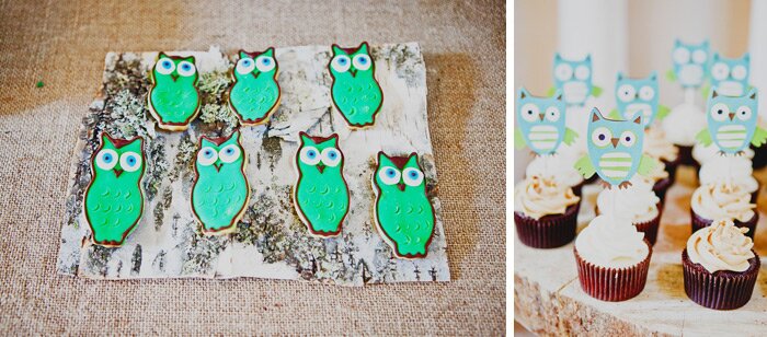 Sacramento Baby Photographer photos of baby shower SacramentoBabyPhotographer 009 Owl Themed Baby Shower